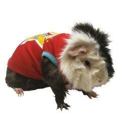 Best Buddy Small Pet Costume with a Star - the-cavy-closet