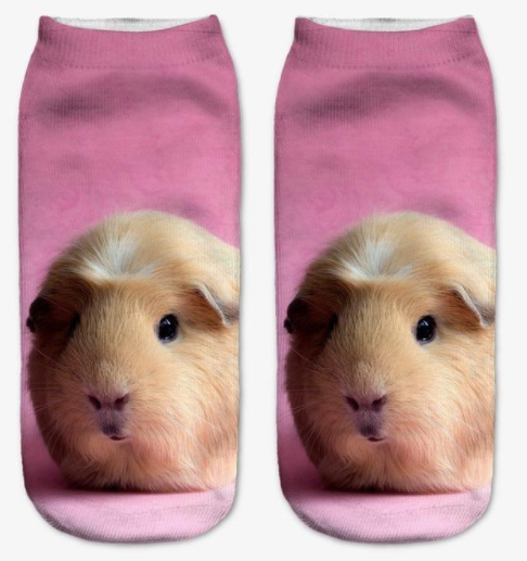 New, 3D Printed Guinea Pig Socks! - the-cavy-closet